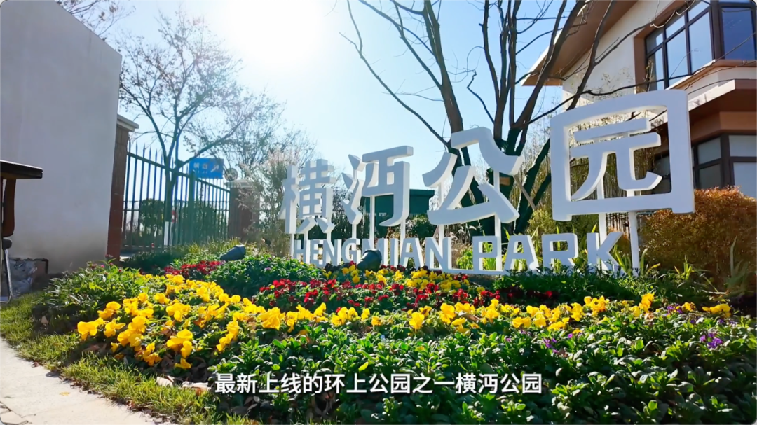 （图片来源：浦东发布视频号截图）