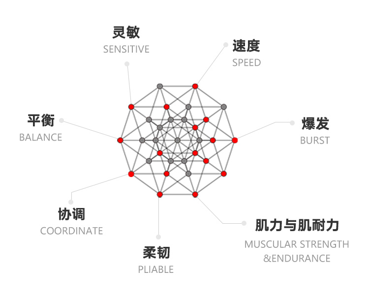 综合体能训练课程 - 九游体育官网入口